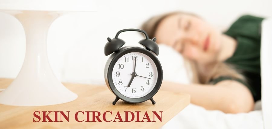 Skin Circadian